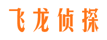 拜城市侦探公司